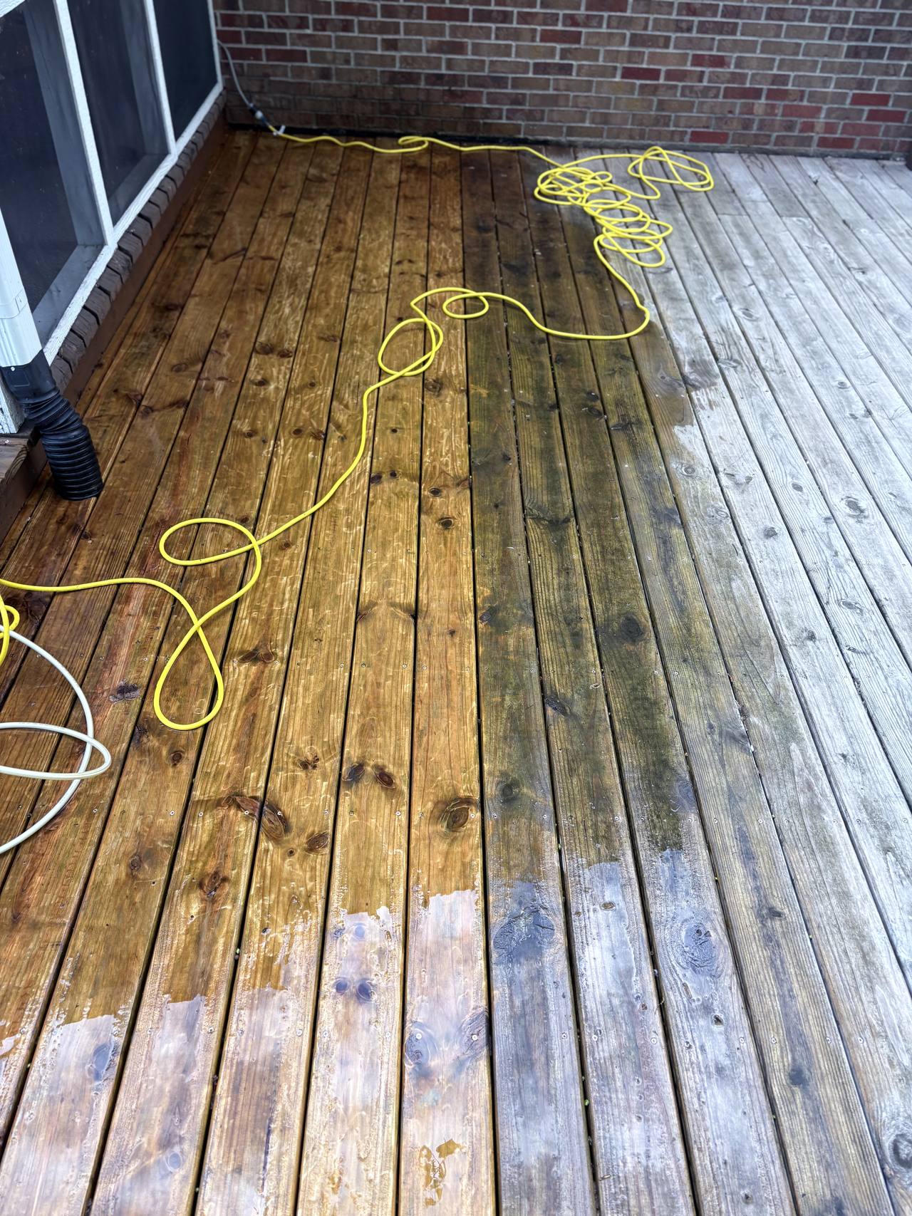 A wood deck halfway through pressure washing: rich brown clean boards on the left, grey and green algae-covered boards on the right, split by a sharp line